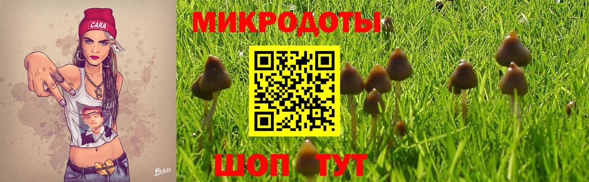 Галлюциногенные грибы ЛСД  Вход с VPN  Новосибирск 