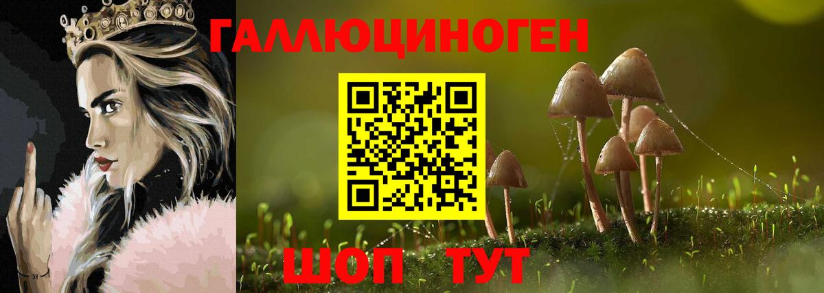 Псилоцибиновые грибы Magic Shrooms Новосибирск